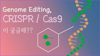 Genome Editing, CRISPR / Cas9이 궁금해?
