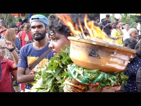Thaipusam at KL's Batu Caves 2017 (6)