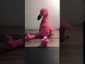 Video: Rose Flamingo Talking and Dancing RODA