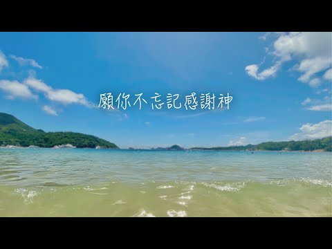 若你能看見 [ 純音樂 cover | 歌詞 ］