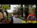 8K VR180 STUNNING WALK THROUGH SINGAPORES FLOWER DOME PT3 Gardens By The Bay 3D (Travel/ASMR/Music)