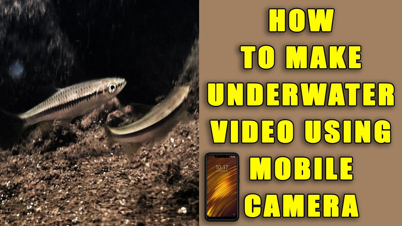 How to Make Underwater video using Mobile Camera Malayalam YouTube