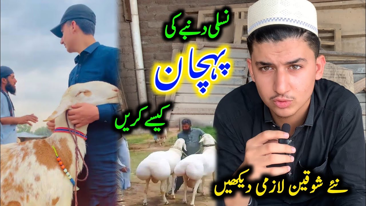 Tajribali yigit bilan birinchi jinsiy aloqa Rus tilida sariq porno