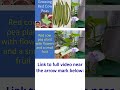 Growing Red Cow Peas