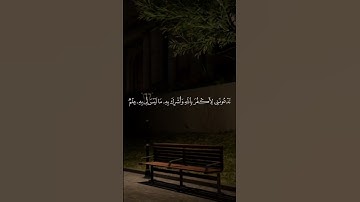 سبحان الله العظيم 🤍☝️ #القرآن #القرآن_الكريم #راحة_نفسية #المصحف #تلاوة_خاشعة #اكسبلور #تلاوات