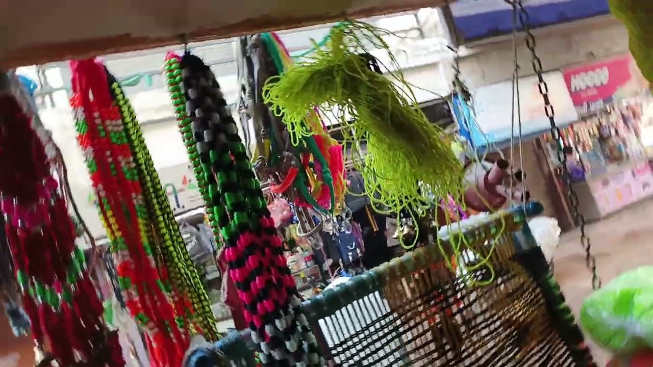 16 ડિસેમ્બર, 2025