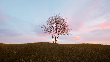 D5 Assets Library Updates｜Plants｜FW 2020