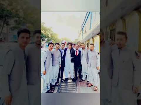 شکر چی افغان یم افغانستان Tiktok Tv ایران پشتو پاکستان لوگر قندهار Usa Farandula Usarmy