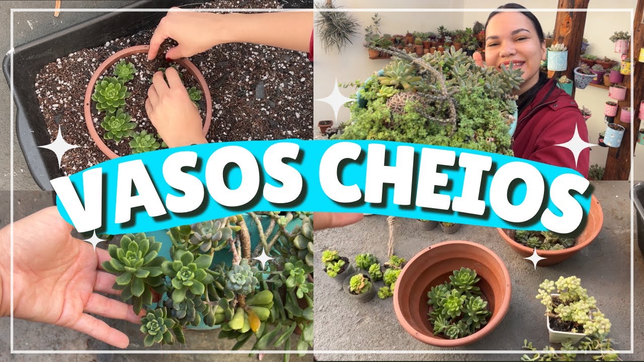 Montando CUIAS DE SUCULENTAS: simples, fácil e lindo!