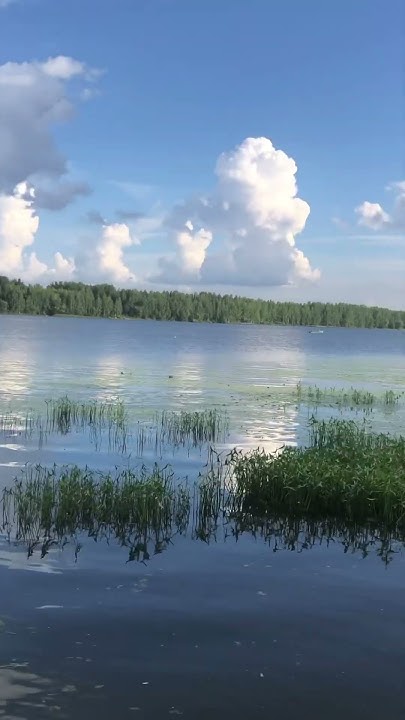 Август - красота !!! - YouTube