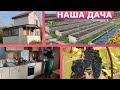 Обзор нашей дачи.