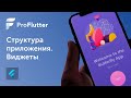 Pro Flutter - Урок 2. Структура приложения. Виджеты