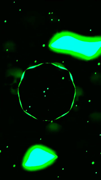 𝐈𝐂𝐄𝐃𝐌𝐀𝐍𝐄 - 𝐗-𝐑𝐄𝐇𝐀𝐁 [𝐒𝐮𝐩𝐞𝐫 𝐒𝐥𝐨𝐰𝐞𝐝] 🎧🔥 #slowed #aveeplayer #template #trending #tiktok #music #remix