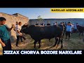 ЖИЗЗАХ ОСИО ЧОРВА МОЛ БОЗОРИ НАРХЛАРИ JIZZAX OSIYO MOL QO'Y BOZORI NARXLARI