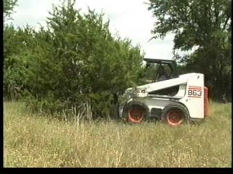 Tree Shear 12