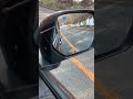 狐には気おつけて#shorts