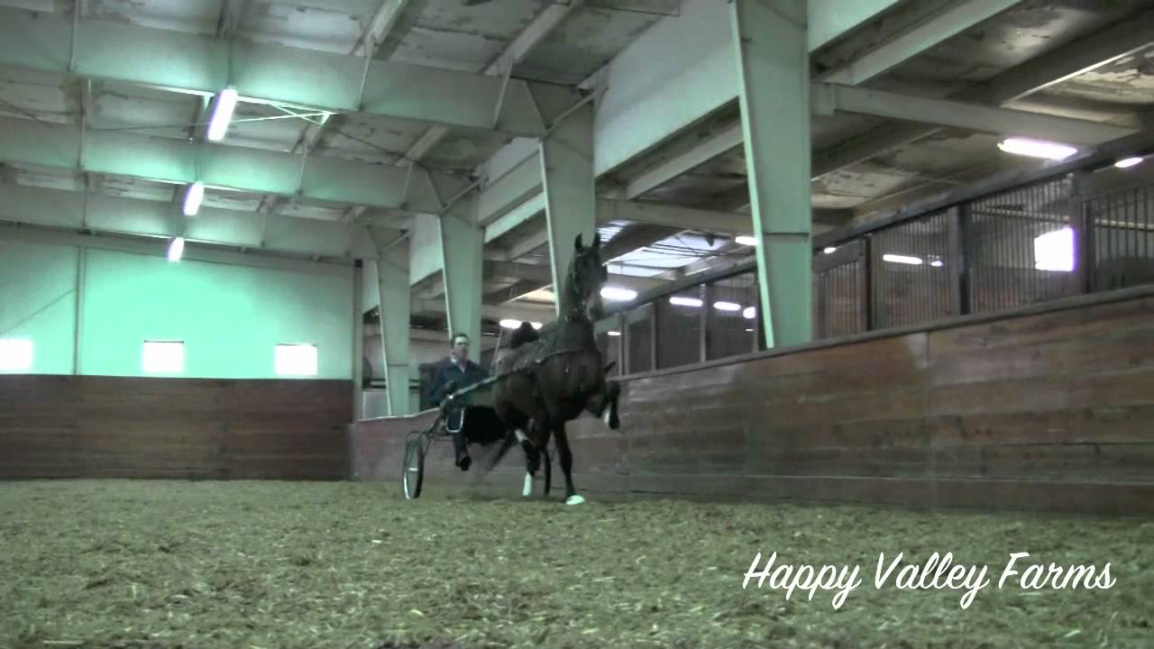 Happy Valley Farm Rossville YouTube