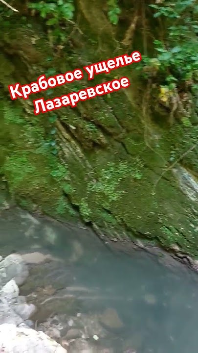 Крабовое ущелье, Лазаревское ️ #лазаревское #лазаревскоесегодня # ...