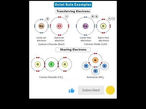 Octet rule😁#shortvideo #viralfeeds