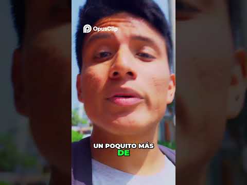 Presupuesto Ajustado  Desayuno y Almuerzo en Lima