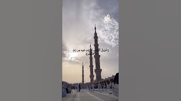 بل هو الحق من ربّك #سورة_السجدة #القارئ_الشيخ_محمود_الوليد #يوم_الجمعة #تلاوة #قرآن #تلاوة_خاشعة