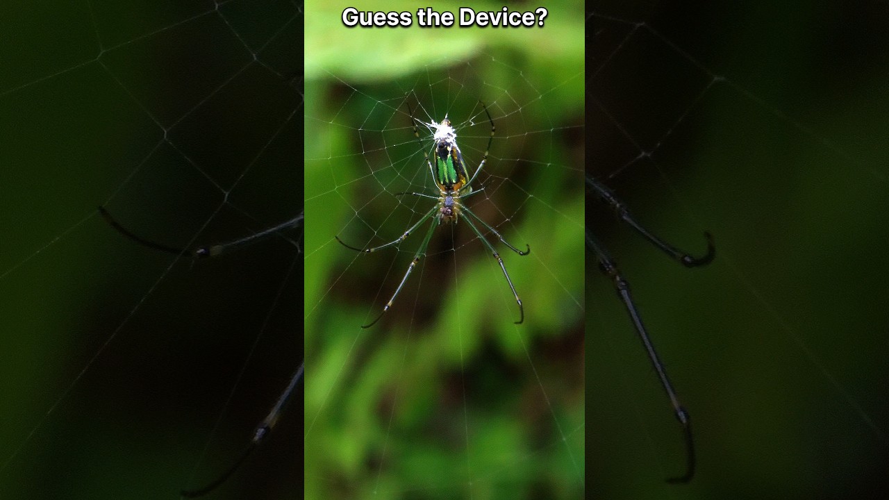 Mobile macro videography with zoom in zoom out 