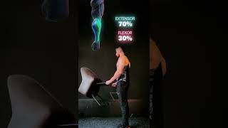 Forearm At Home Workout