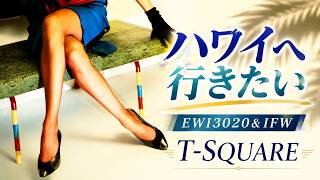 ハワイへ行きたい（脚線美の誘惑／THE SQUARE）