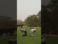 Bend and Flex💃#yoga #yogasana #flexibility #reel#trending #viral#shorts #banglore #corporate