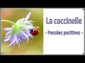 Guided Relaxation For Children And Parents The Ladybug Positive Thoughts