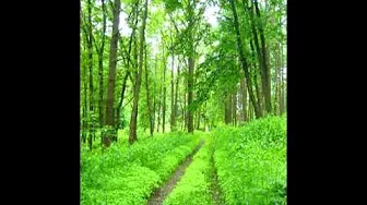 Listen Listen Listen To My Heart Song.flv Listen Listen Listen To My Heart Song.flv