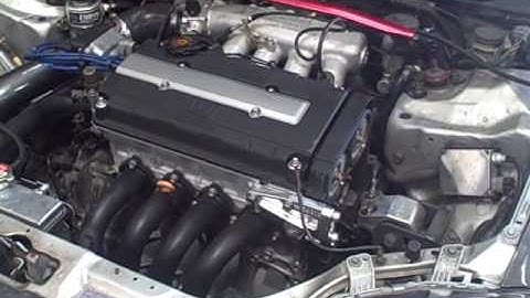 Project Import: Built EK Civic w/ LS Vtec Skunk 2 Pro 2 cams Dyno Run