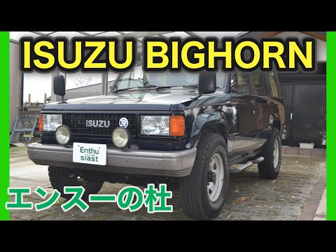 いすゞ　ビッグホーン　ステンレス製ラダー　ハシゴ いすゞビッグホーンステンレス製ラダーハシゴ