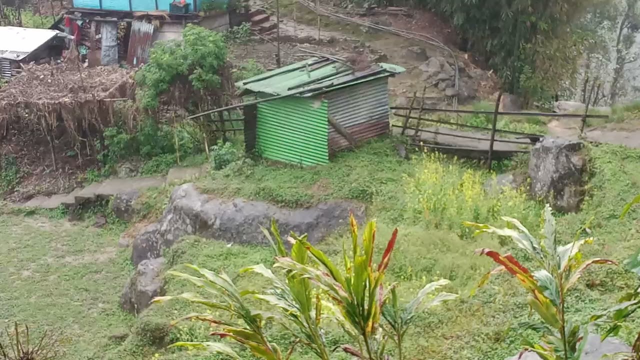 starting new road cutting 😀🇳🇪