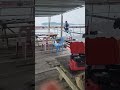 야간 낚시가능 우럭 와 대일수산좌대 #fishing #낚시 #fishingvideos #뉴스 #shorts #AI #캠핑 #좌대 #텐트 #캠핑카 #야간낚시터 #동호회 #취미