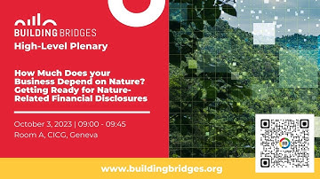 Building Bridges 2023 High Level Plenary - How Much Does your Business Depend on Nature?