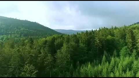 سورة النبأ والزلزلة والماعون والناس الشيخ محمد سمير