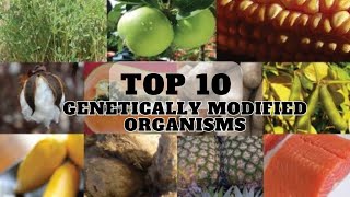 Top 10 Genetically Modified Wonders