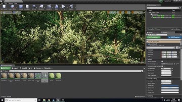 Wind Animation for Trees