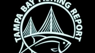 Tampa Bay Fishing Report ~ Inshore ~ Offshore
