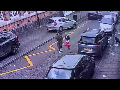 Dog attacking children