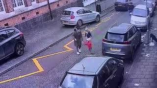 Dog Attacking Children