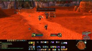 shaman bugs