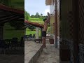 Día 3 - Convirtiendo mis piernas en cohetes 🚀
