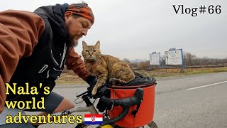 Nala cat finally makes it to ZAGREB ❤  VLOG #66