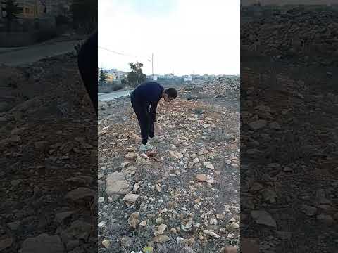احضر للاخر الصين اخترعت حجر عشان تخبي مفتاح البيت