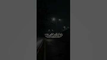 القارئ بدر التركي