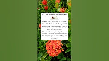 Say 1 Dua in Sujood Allah answers Fast ✨❤