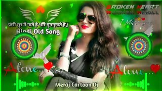 Panchhi?️??️Sur Me Gate Hai Dj remix song पंछी सुर में गाते हैं भौंरे गुनगुनाते हैं Hindi Old Song