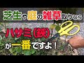 草取りはハサミが一番☆芝生や庭、畑の強力な雑草も根こそぎ簡単！